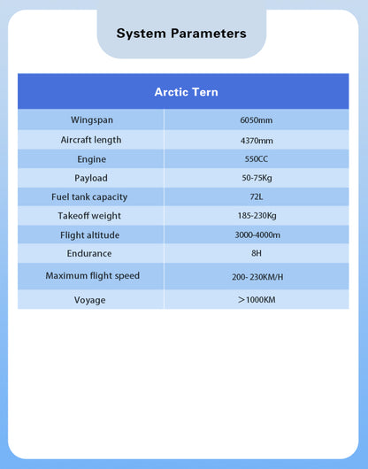 Arctic Tern