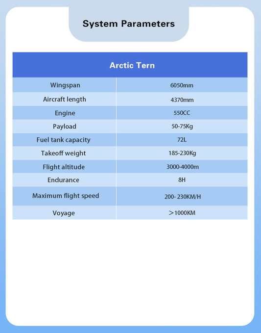 Arctic Tern